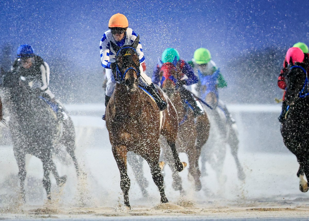 @๐๐ท๐ช๐ซ๐ต๐ฎ๐ tweet media