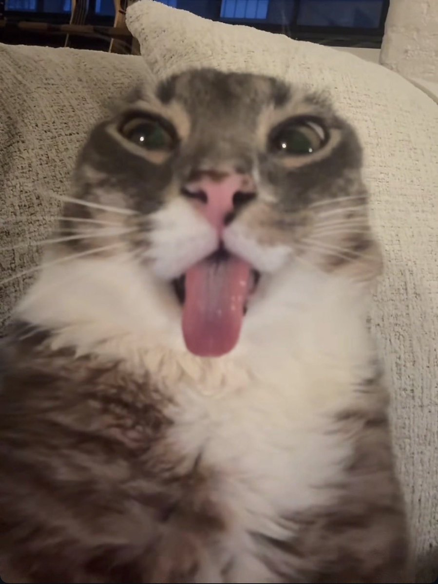 Claw 🇳🇴 tweet media