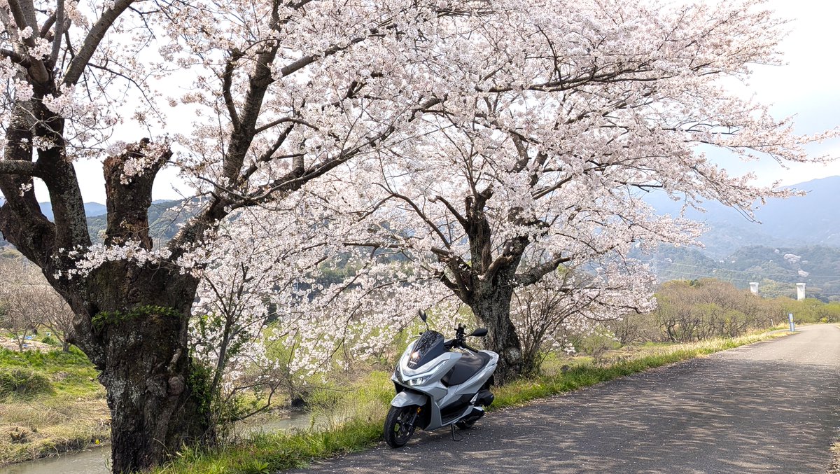 ごくう tweet media