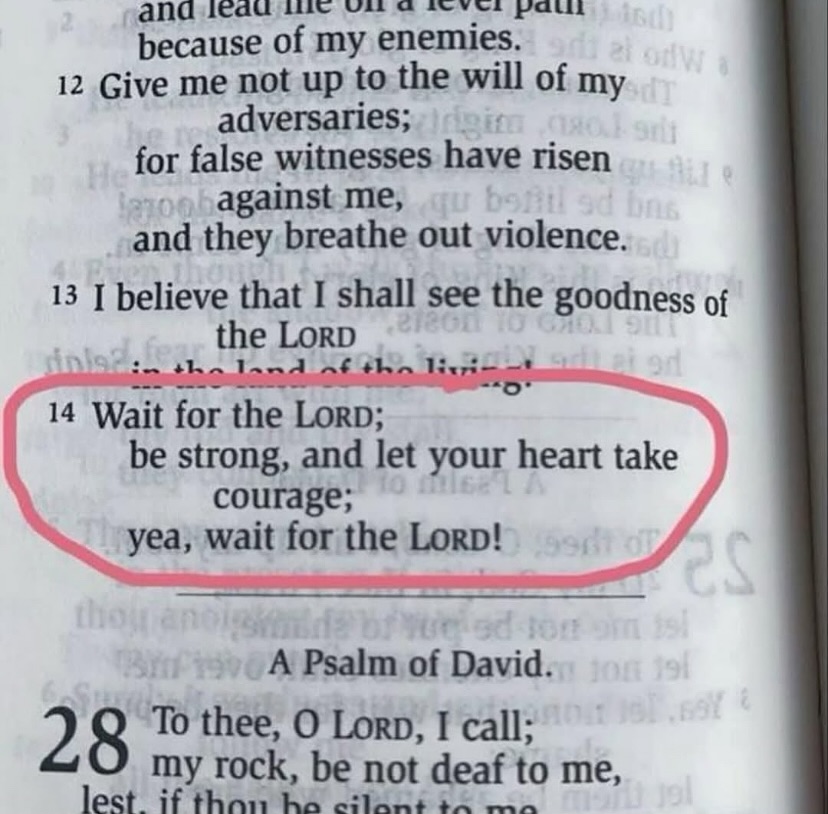 Bible 365 tweet media