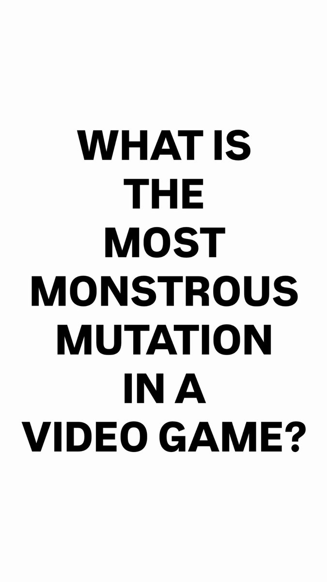 Rino🚀 tweet media