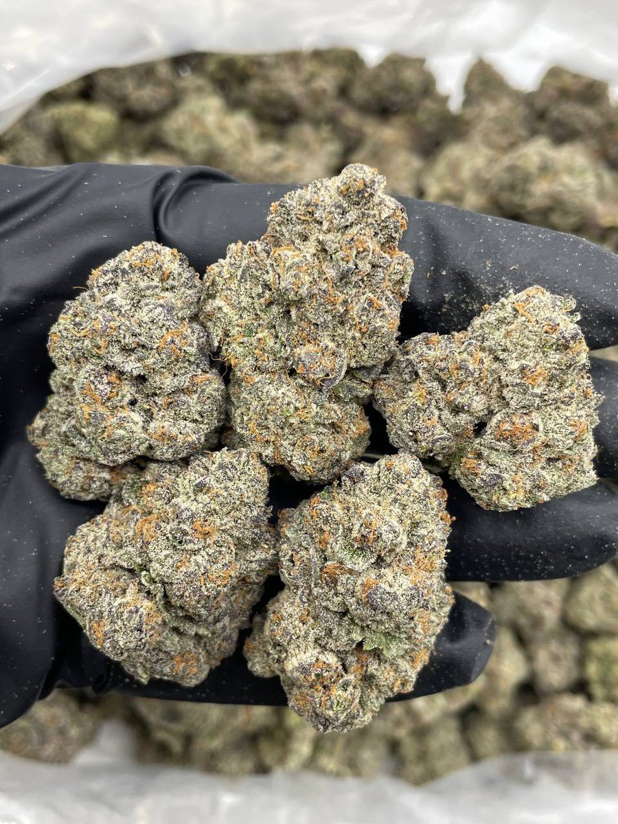 NWA NKPOR tweet media