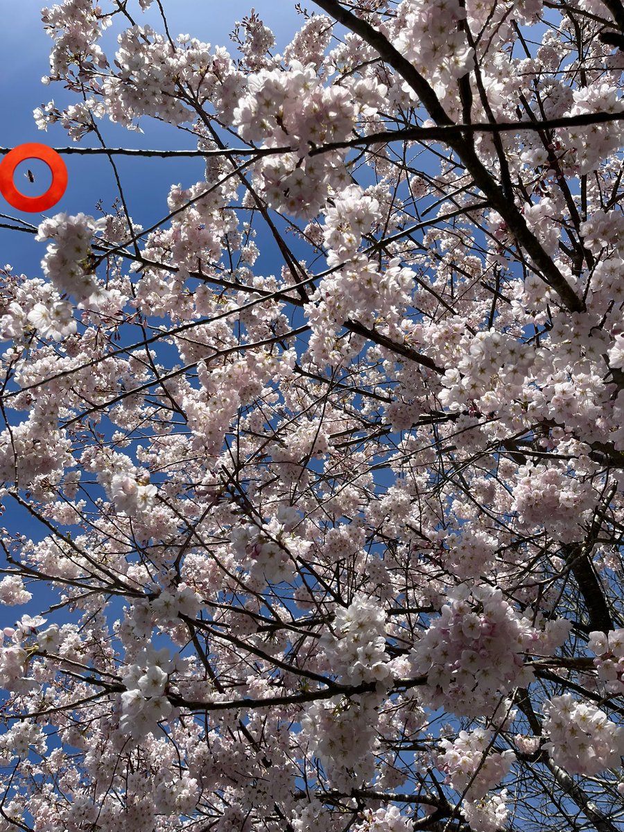 Hard Takumi tweet media