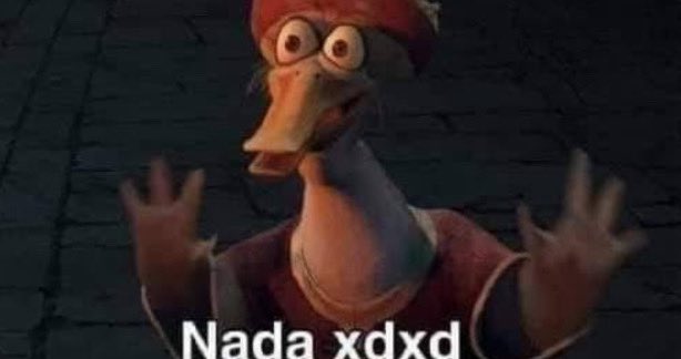 momar 😺 tweet media