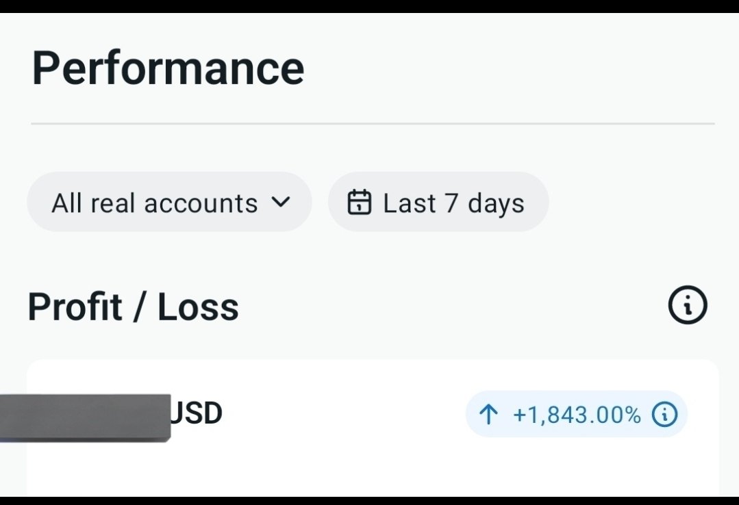 Free Guy tweet media