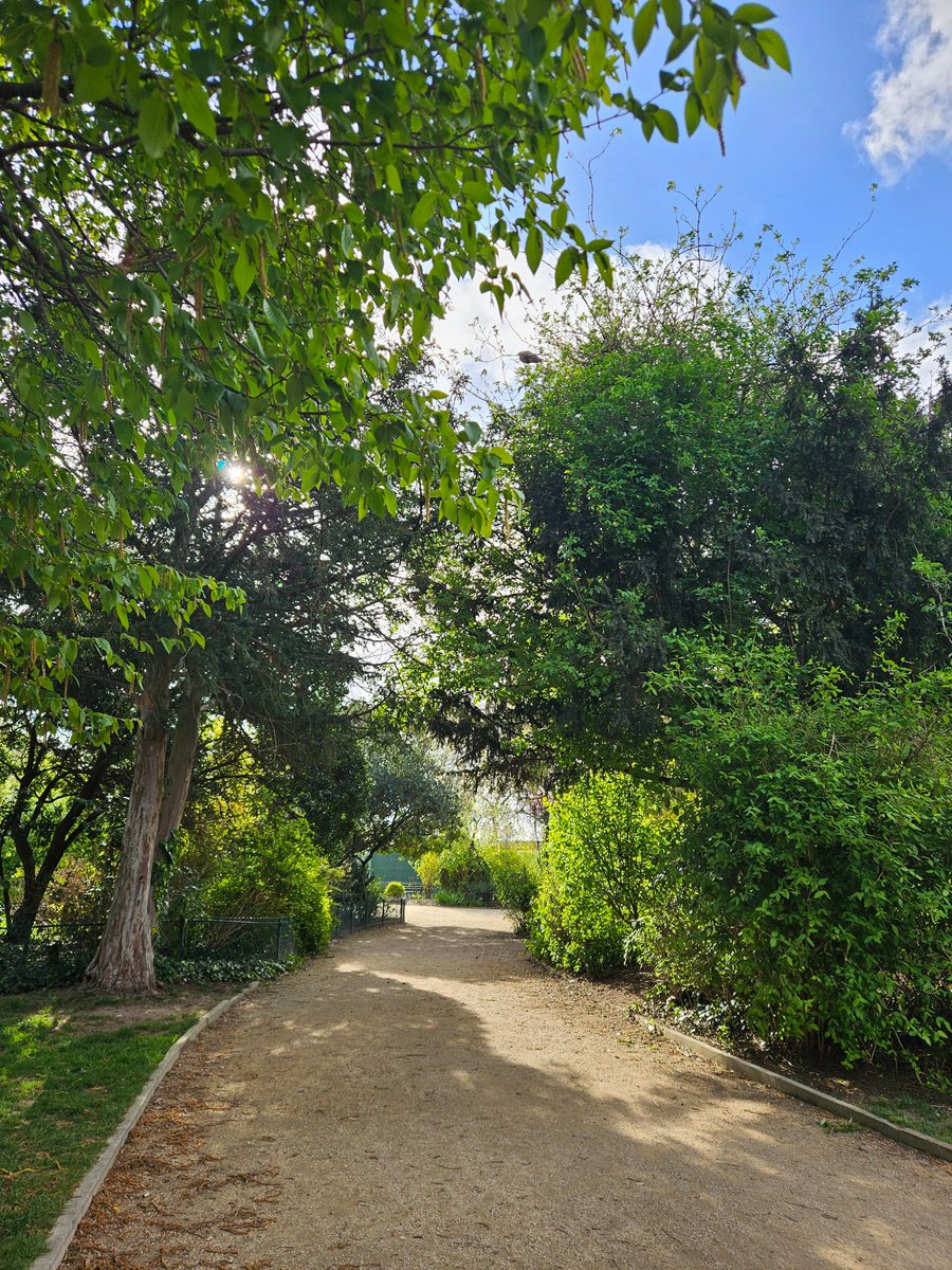 Raphaël T-M tweet media