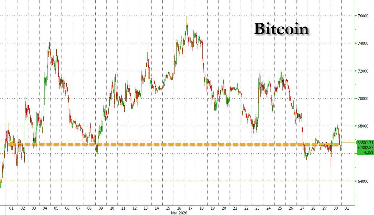 zerohedge tweet media