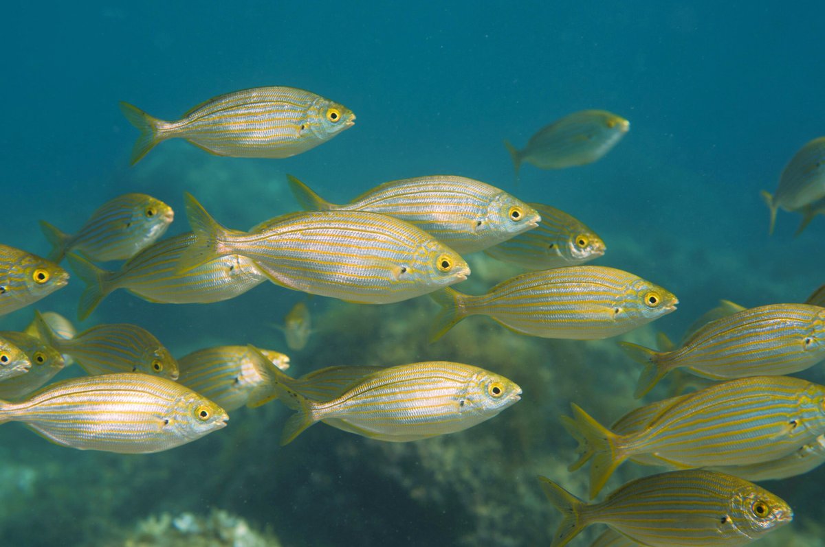 Taylor Sterling tweet media