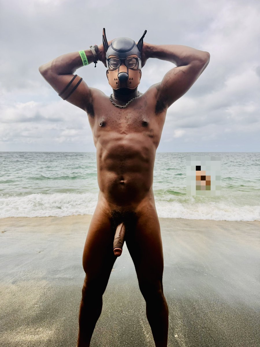 Pup Soto ⭐️ tweet media