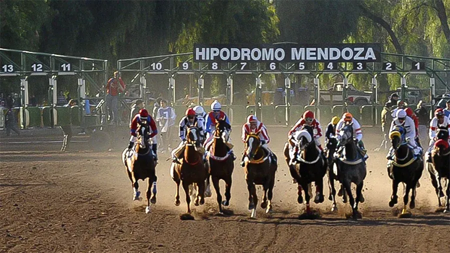 Jack ♦️ 🌳 #002 tweet media