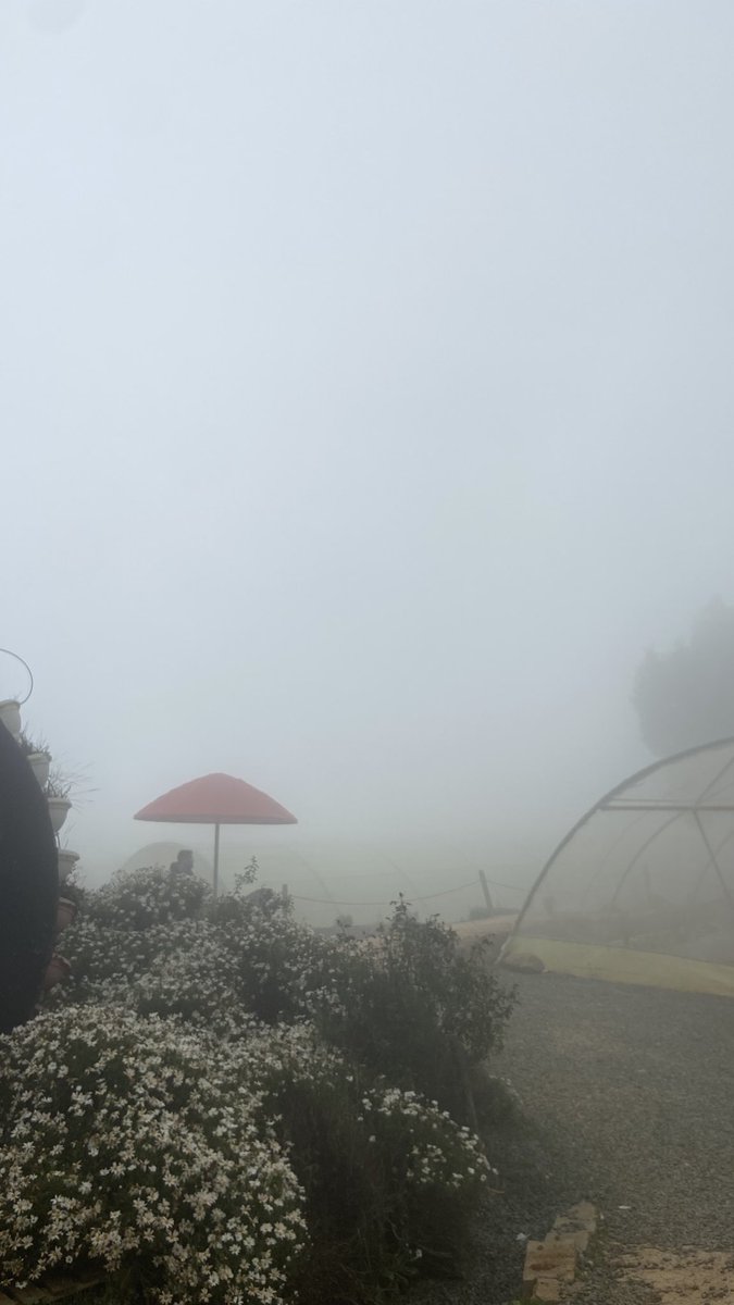 أحمد | صلوا على النبي ﷺ tweet media