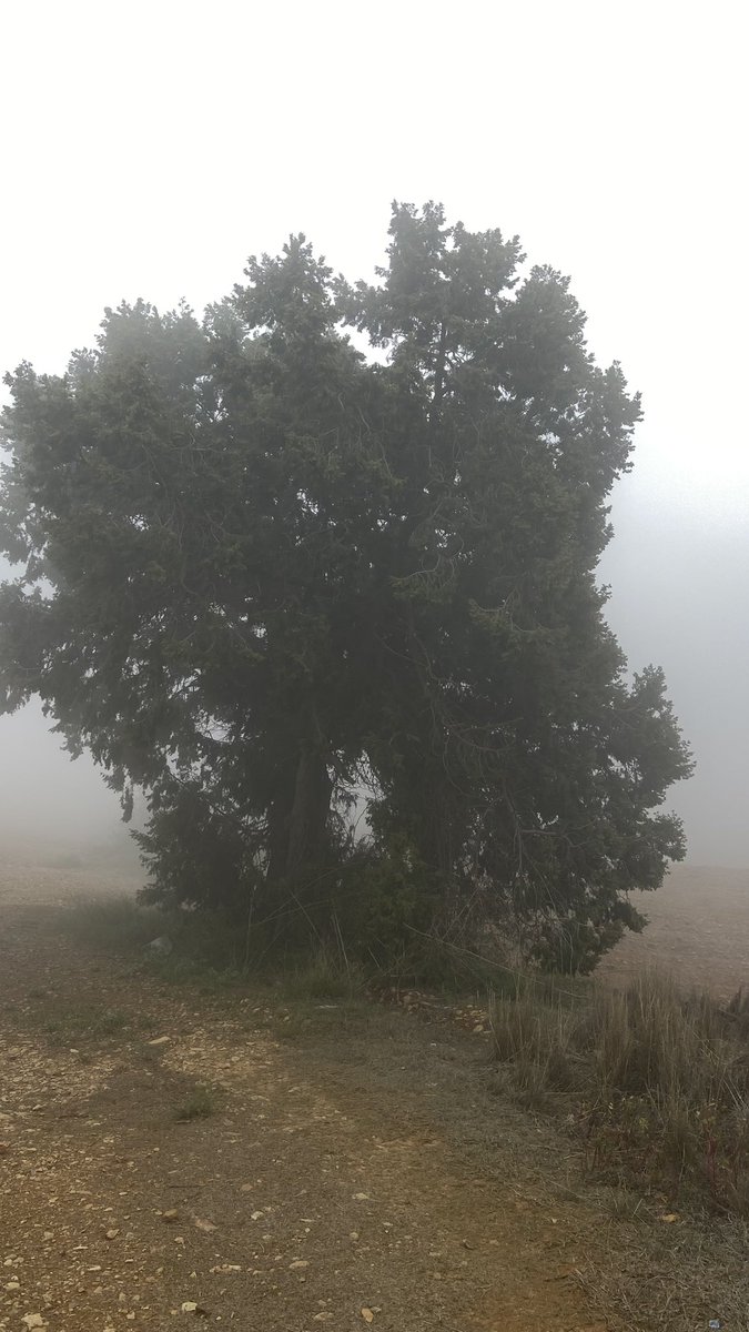 أحمد | صلوا على النبي ﷺ tweet media