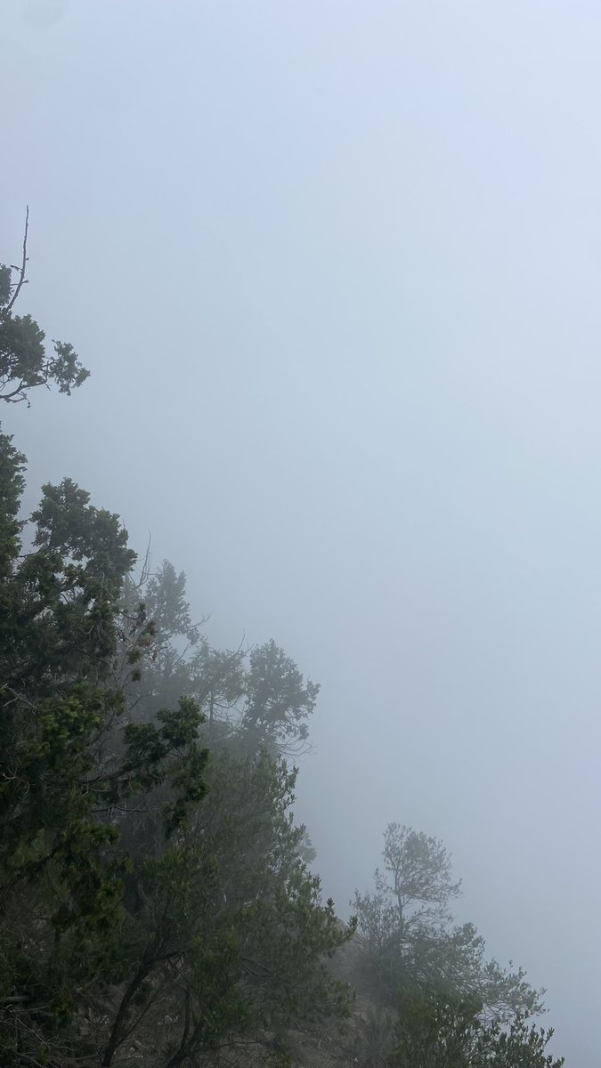 أحمد | صلوا على النبي ﷺ tweet media