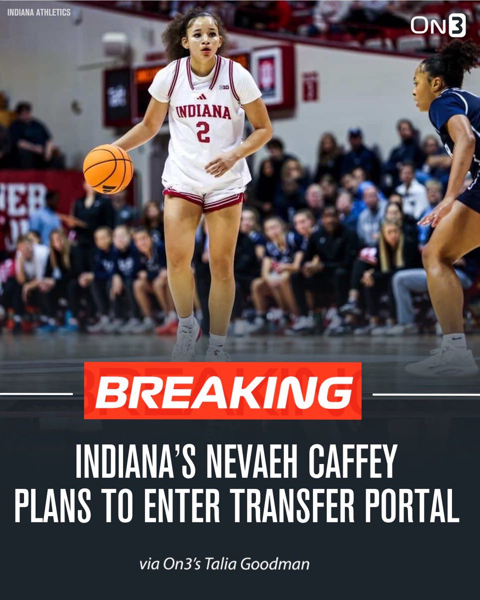 Talia Goodman tweet media