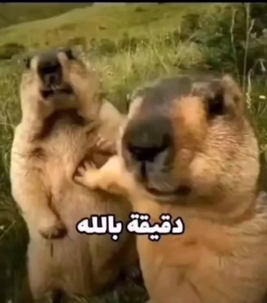 GD. Fahad tweet media