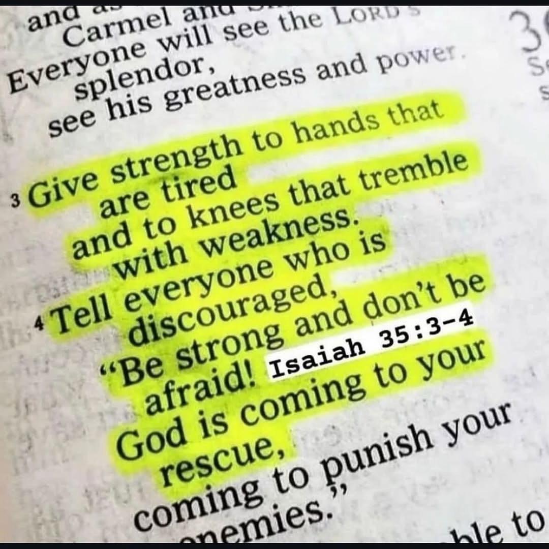 Bible 365 tweet media