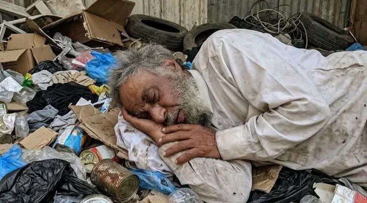 قلم وطني حر. tweet media