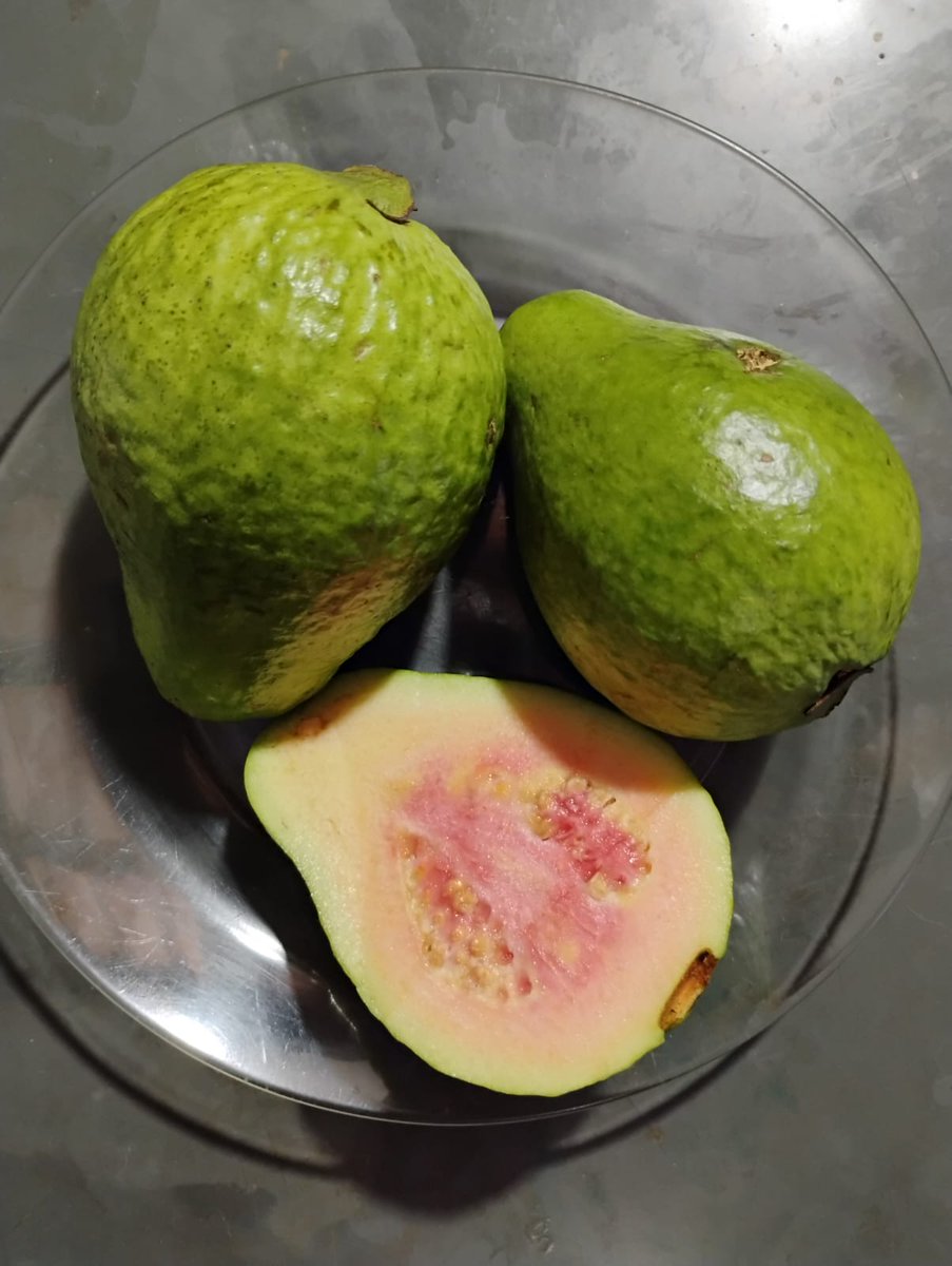 JULIANA MINEIRINHA tweet media