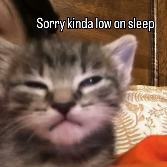 𝐄𝐦𝐳𝐚 ☩❤️🔥 tweet media