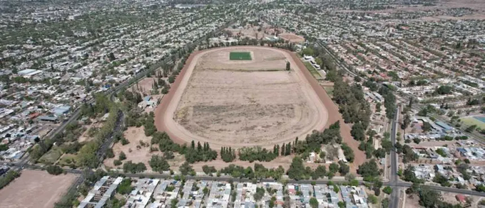 Jack ♦️ 🌳 #002 tweet media