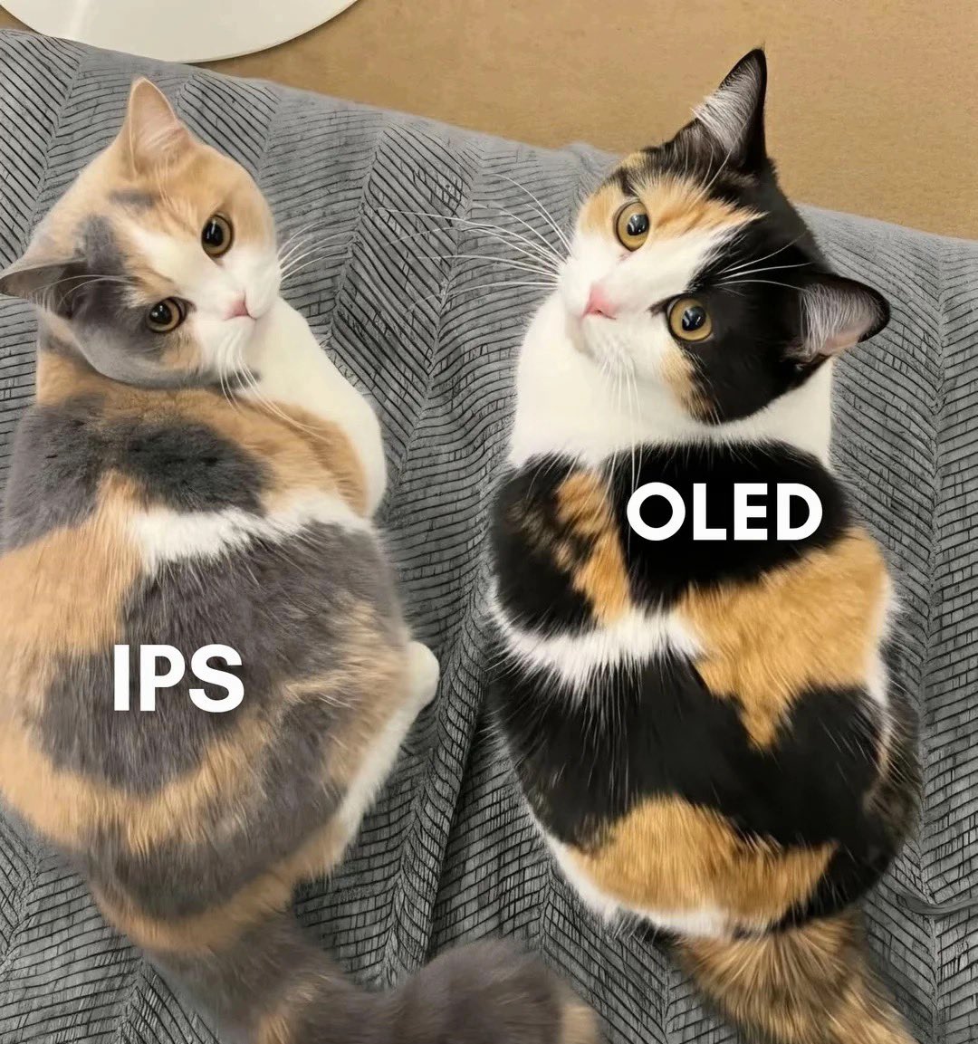 Herchenov tweet media