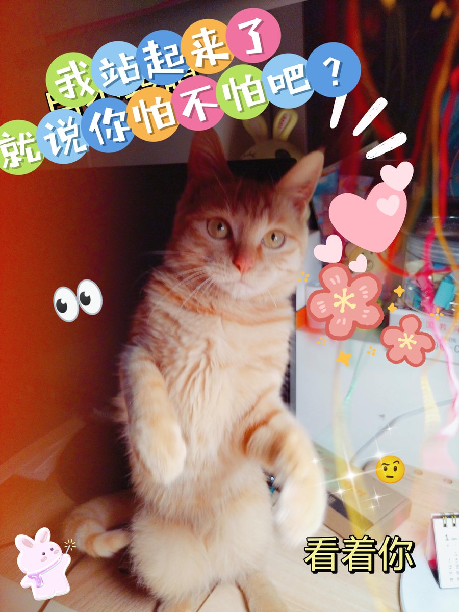 Kathleen Vogel tweet media