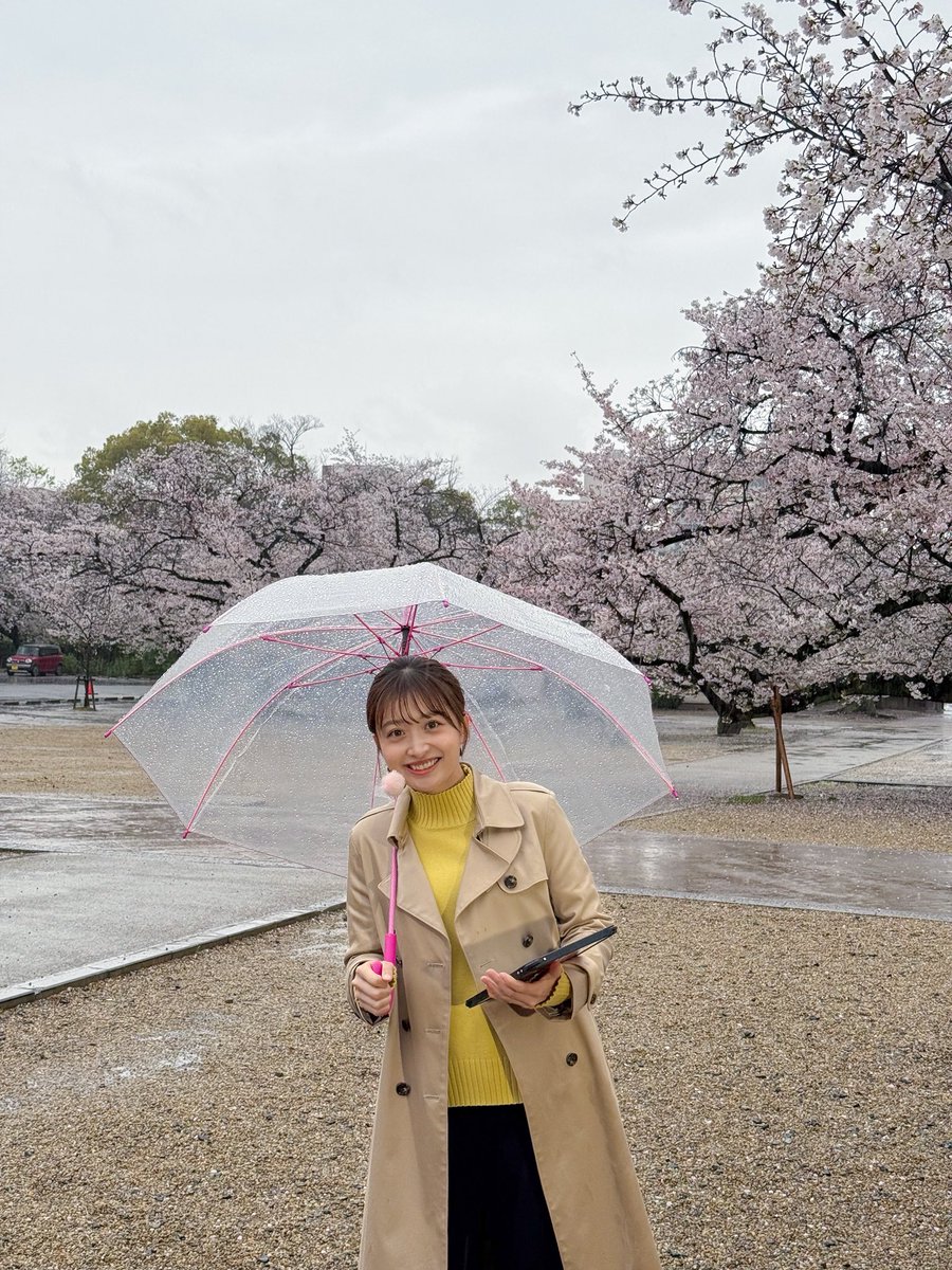 ドデスカ！（メ～テレ）【公式】 tweet media