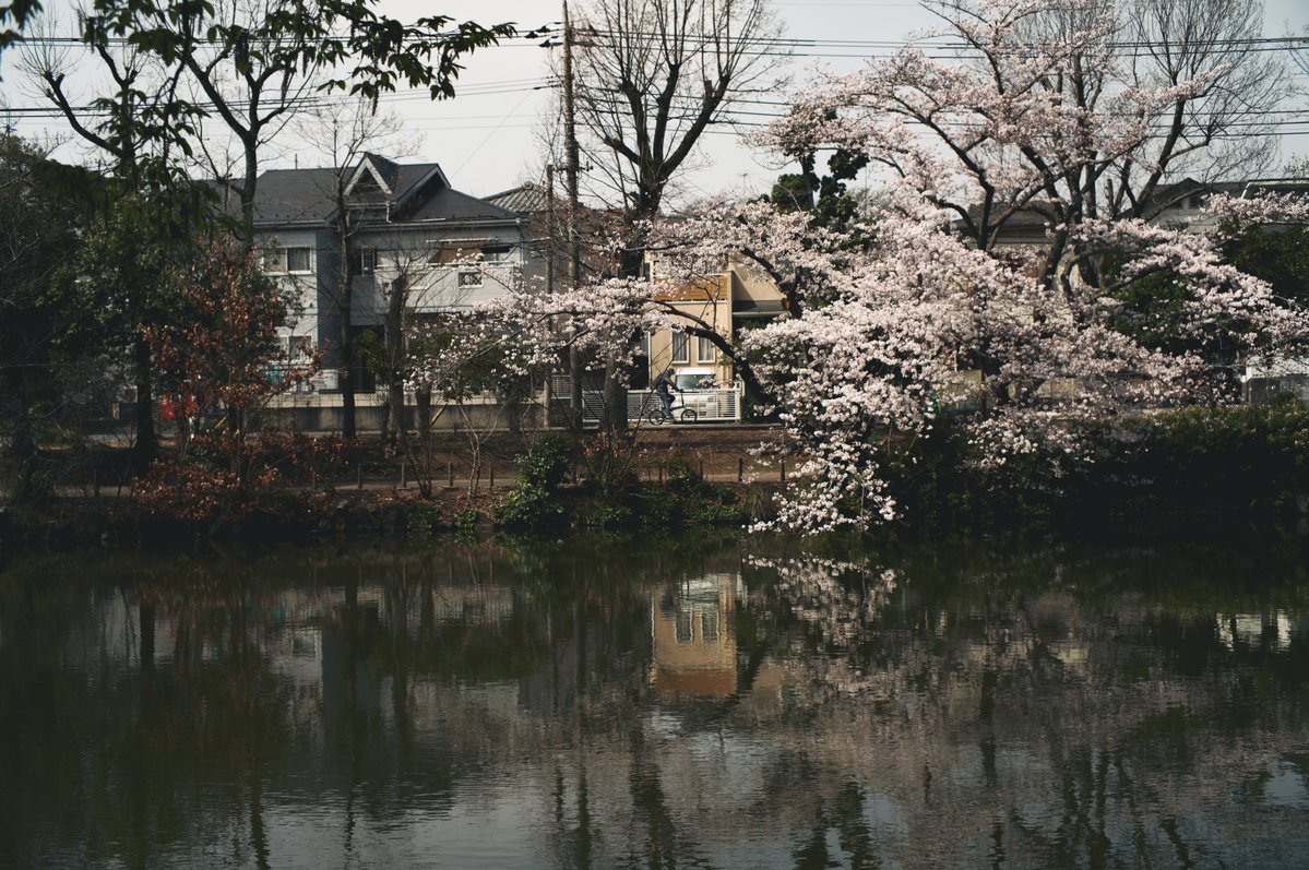 夜にコーヒーが飲みたい tweet media