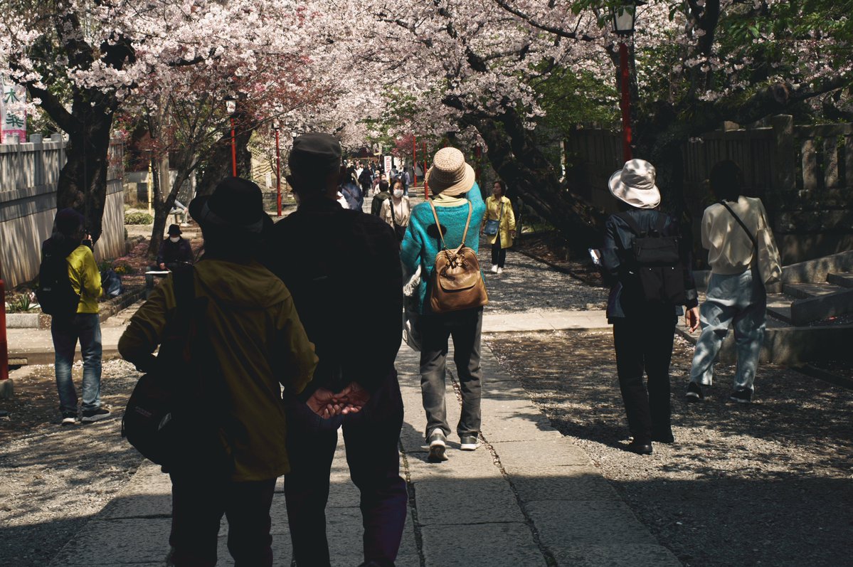 夜にコーヒーが飲みたい tweet media