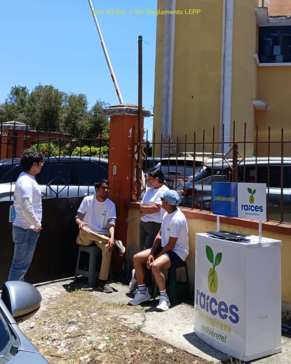 Raíces 🌱 tweet media