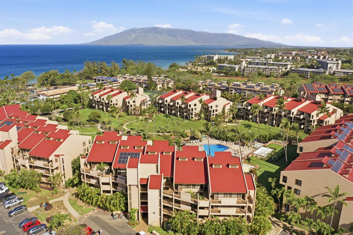 Hawaiʻi Life tweet media