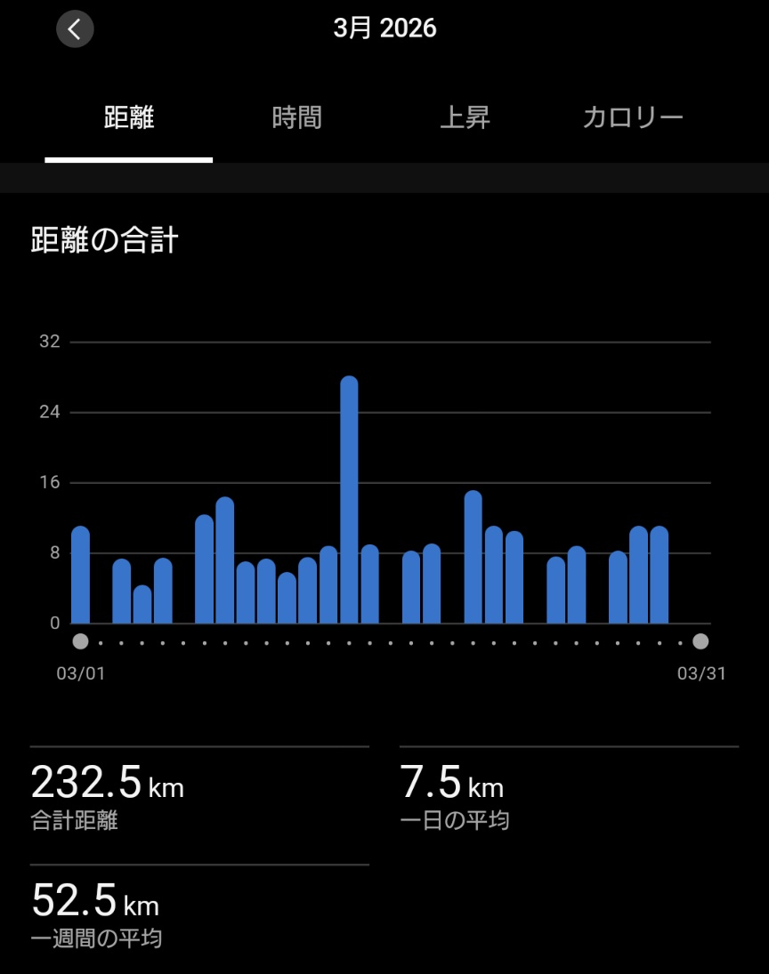 ごーご@5/10仙台国際ハーフ🎋〜5/31さがえ🍒〜6/7ひがしね🍒 tweet media