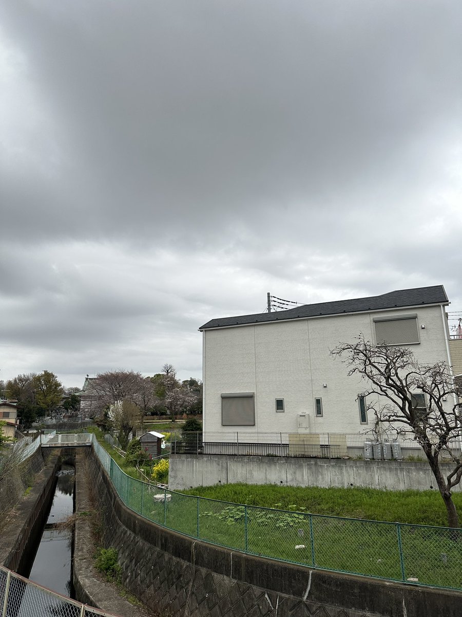 くまごろう tweet media