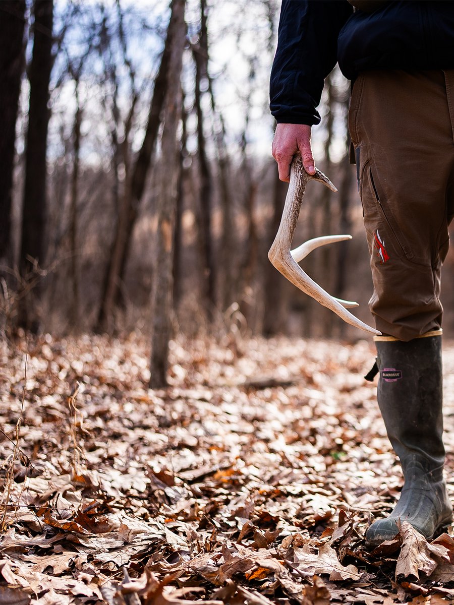 Whitetail Properties tweet media