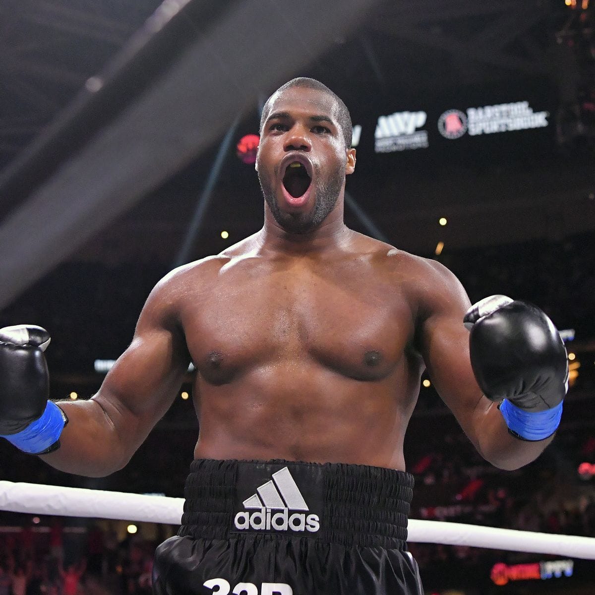 Gsoboxerfan tweet media