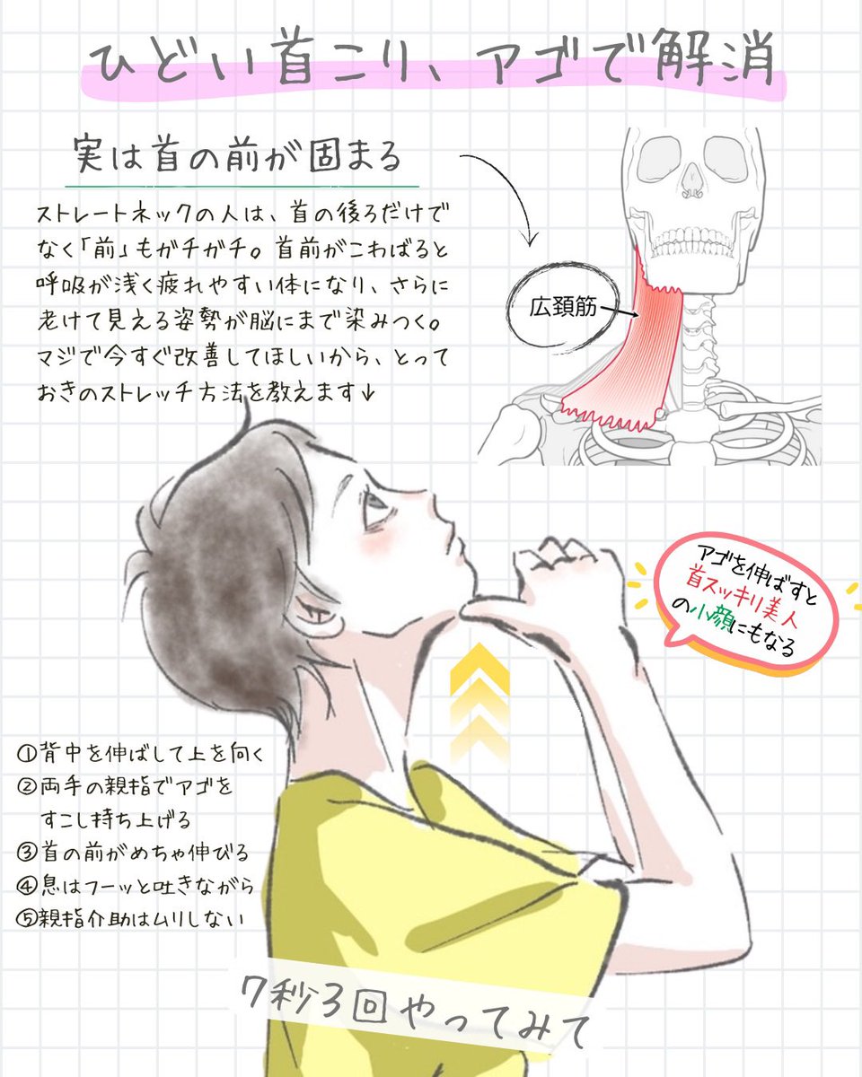 かたこりくん tweet media