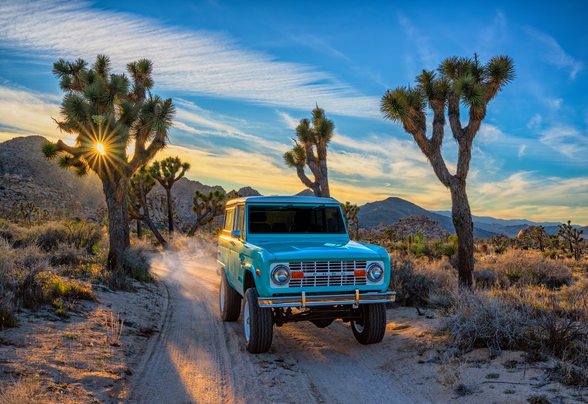 Peter Lik tweet media