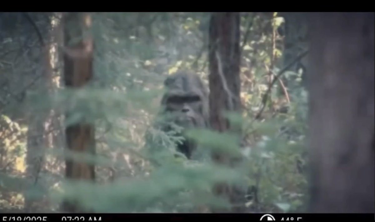 Eddie Abbott tweet media