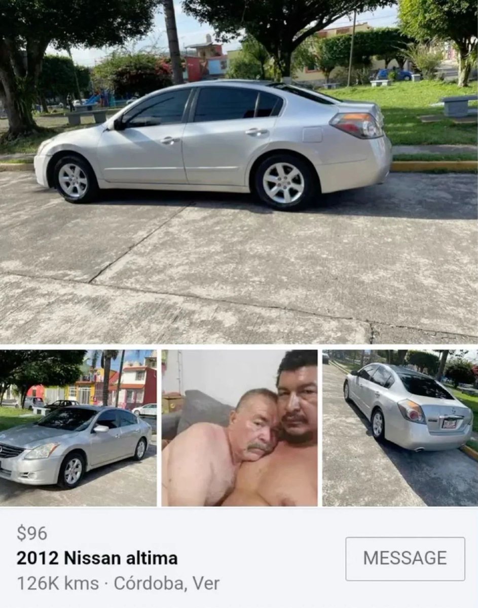 Braindead Bird App tweet media