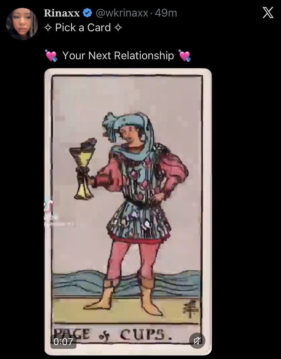 🪽Tracy🐈‍⬛🌻 tweet media