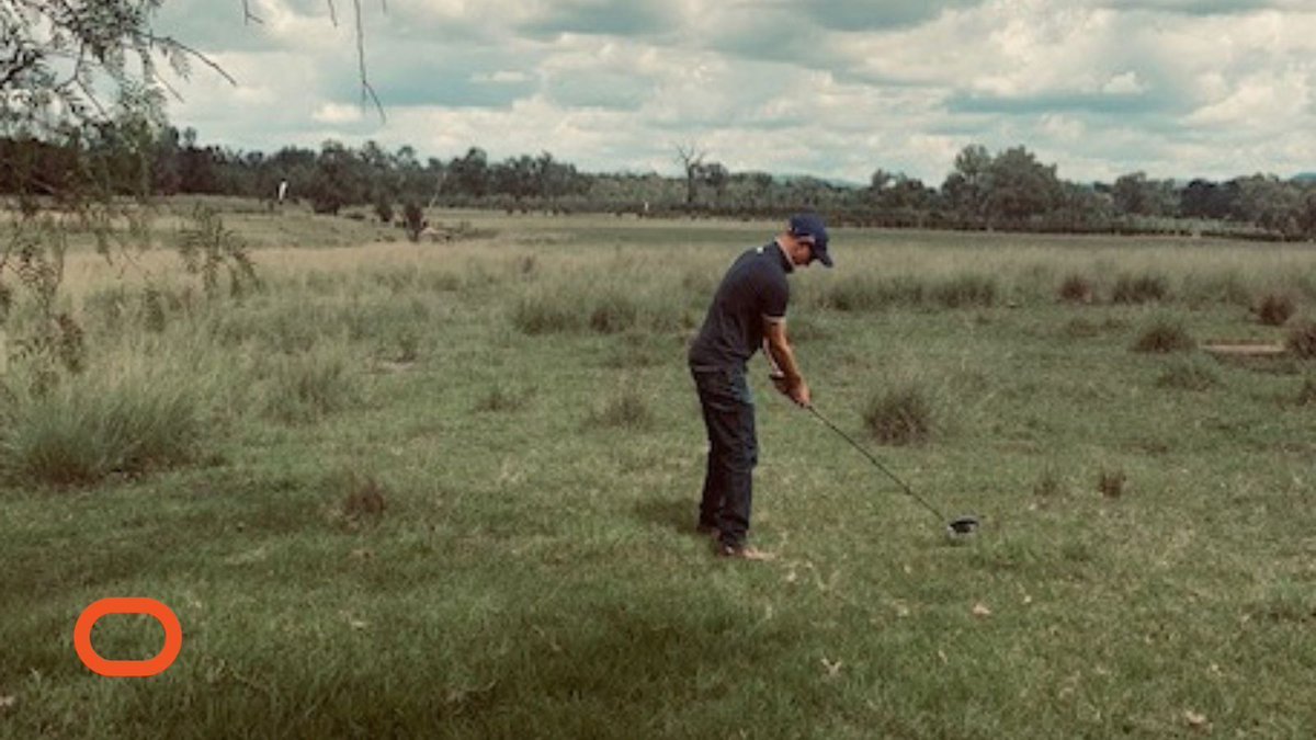 SPORTENG™ tweet media