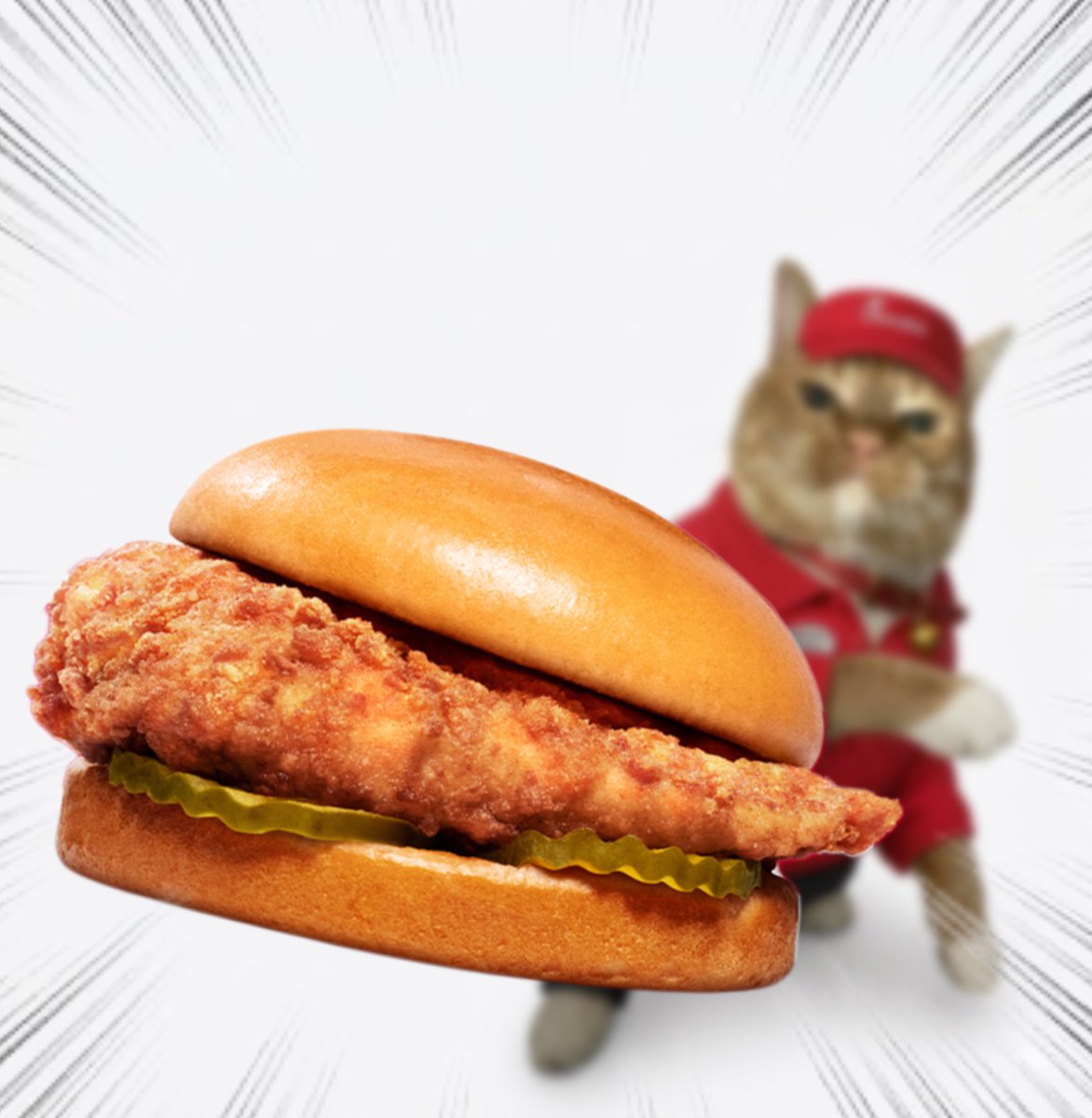 Throwing Things Daily tweet media