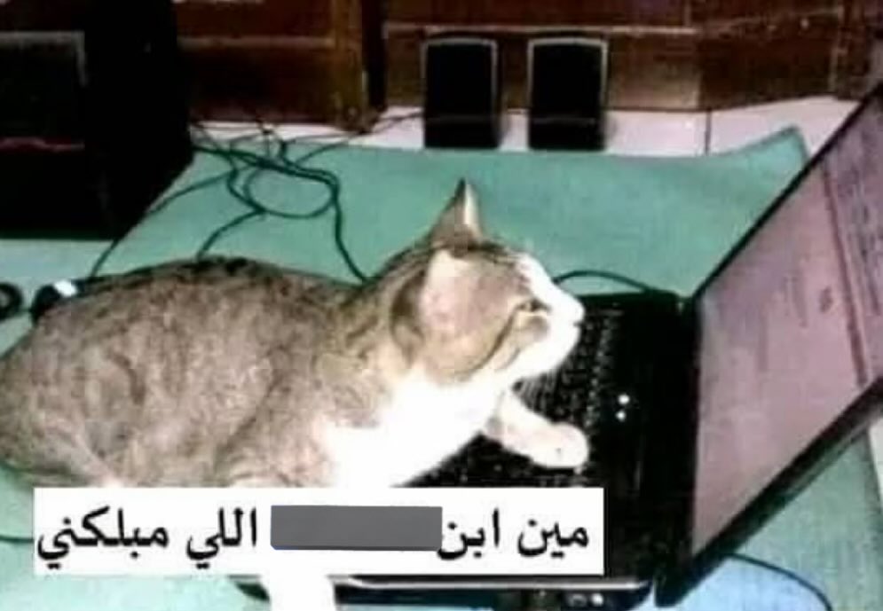 i don’t trust GPA tweet media