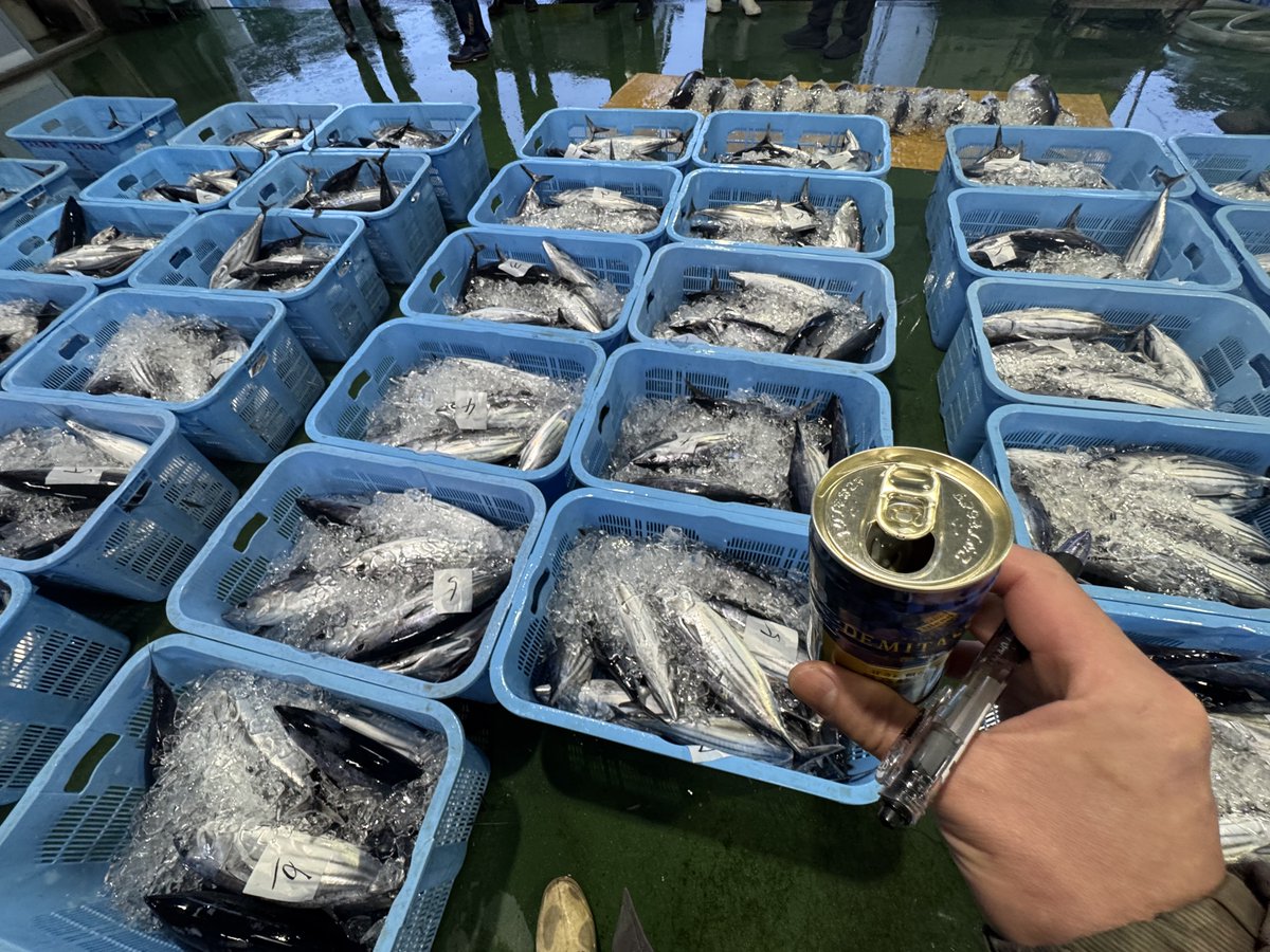 多田水産（の中の人） tweet media