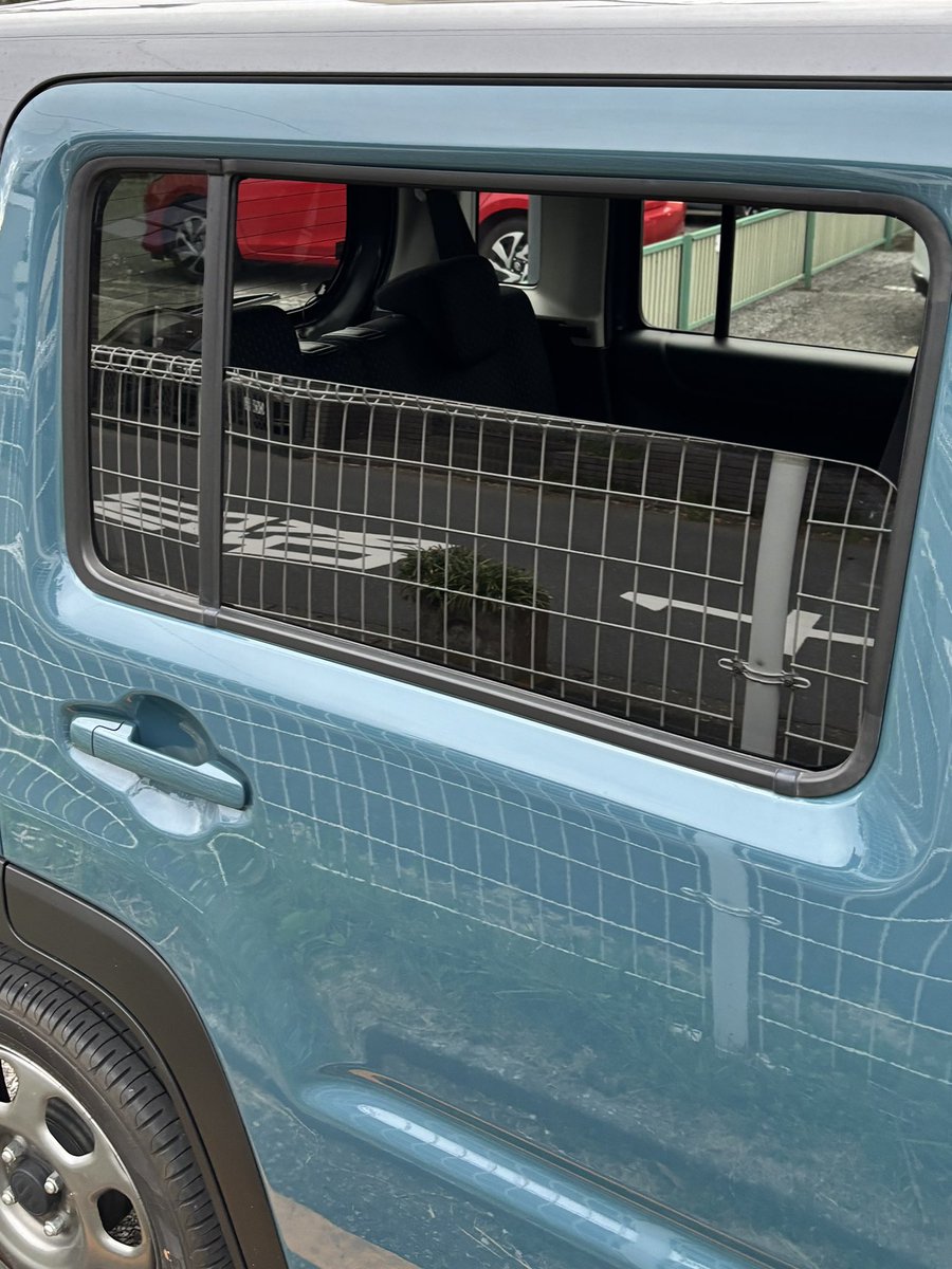 クロマグ｜🇲🇾→🇯🇵帰還 tweet media