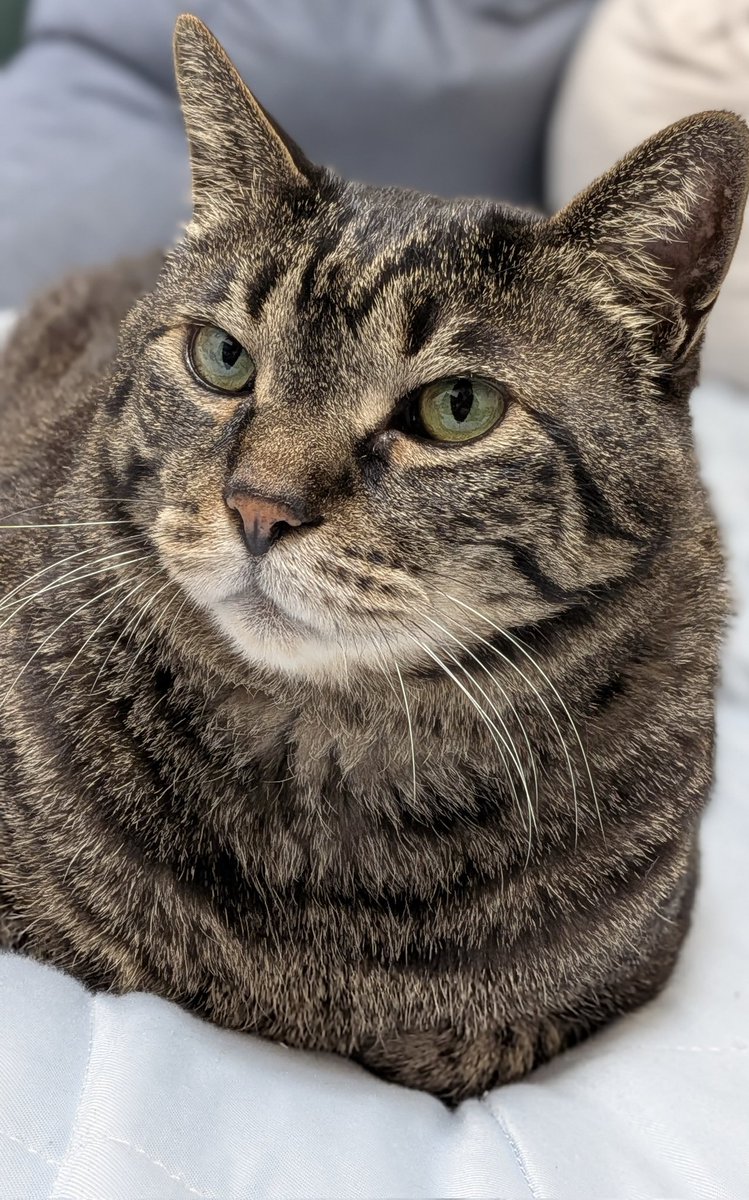 ＴＡＫＴ tweet media