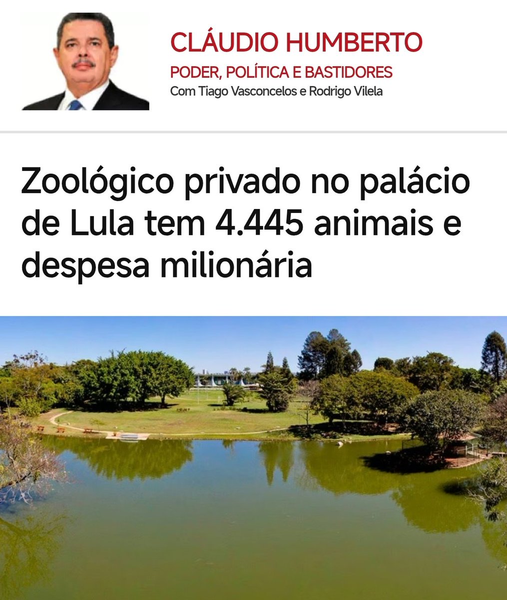 🇧🇷 ENFIA O L NO SEU KÚ 🇧🇷 tweet media