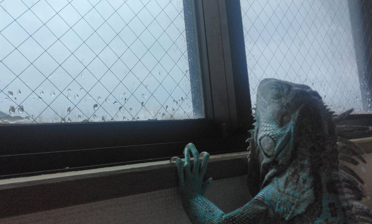 e-.-m☆i tweet media