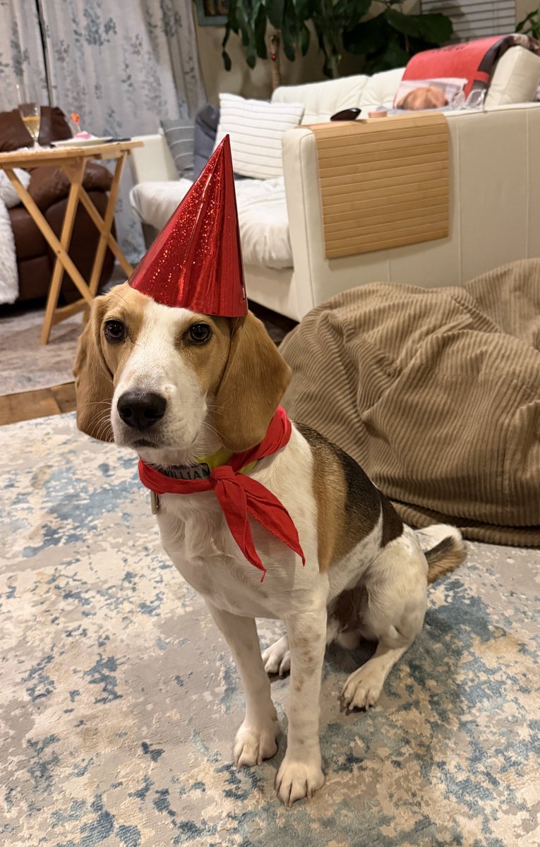 William 🌈Angels Prince Pasha & Mischa 🐞🐞 tweet media