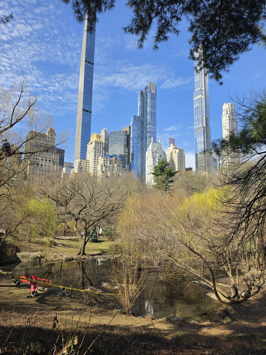 Duncan Wallace tweet media